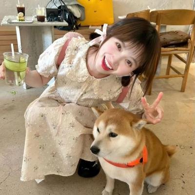 无颜之月海报